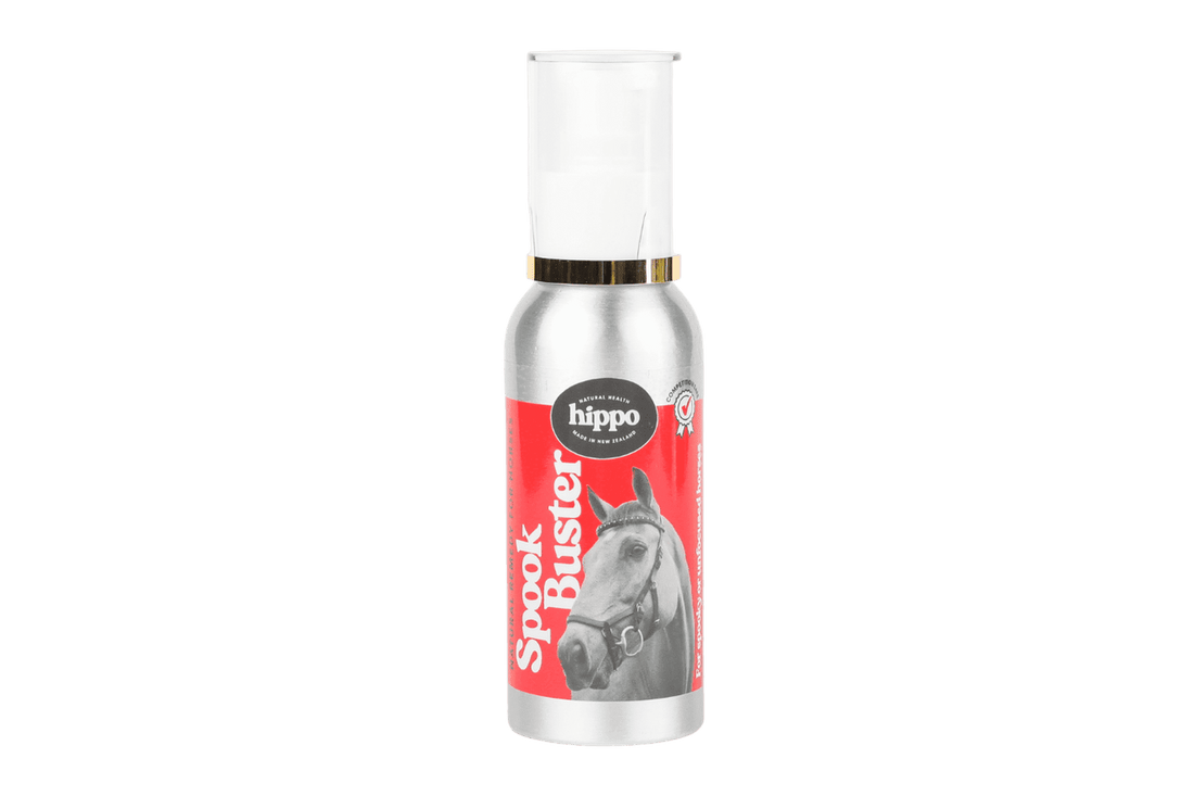 Hippo Health Spook Buster