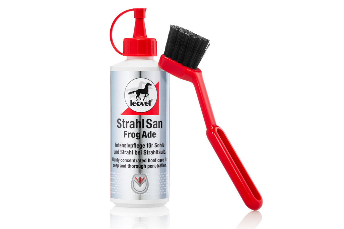 Leovet FrogAde with Brush