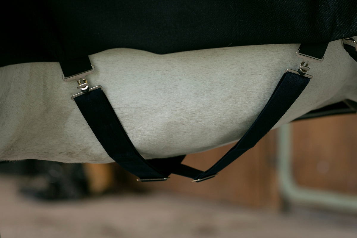 NZ Tack Bonded Fleece Rug - 3