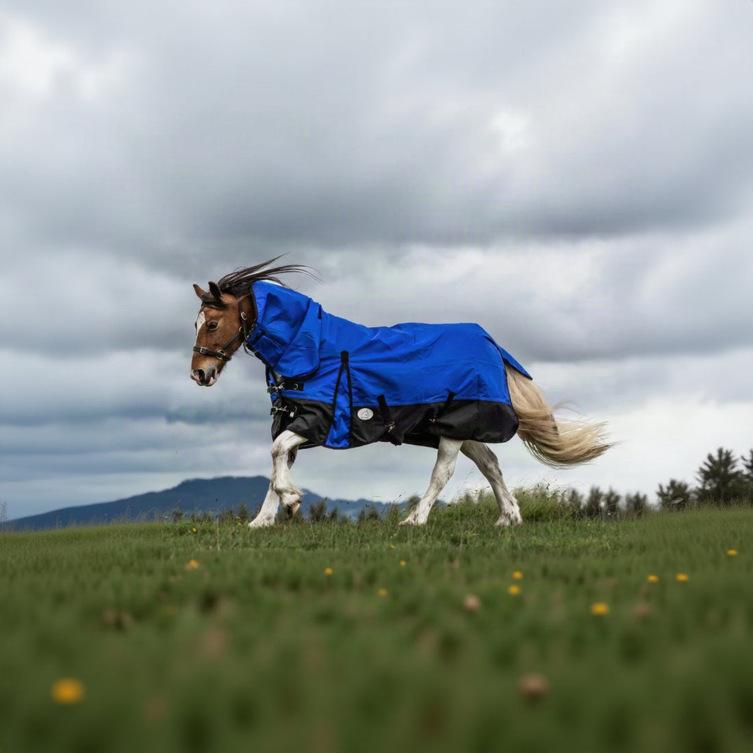 NZ Tack Duke 1200D Combo FREE SHIPPING - Winter