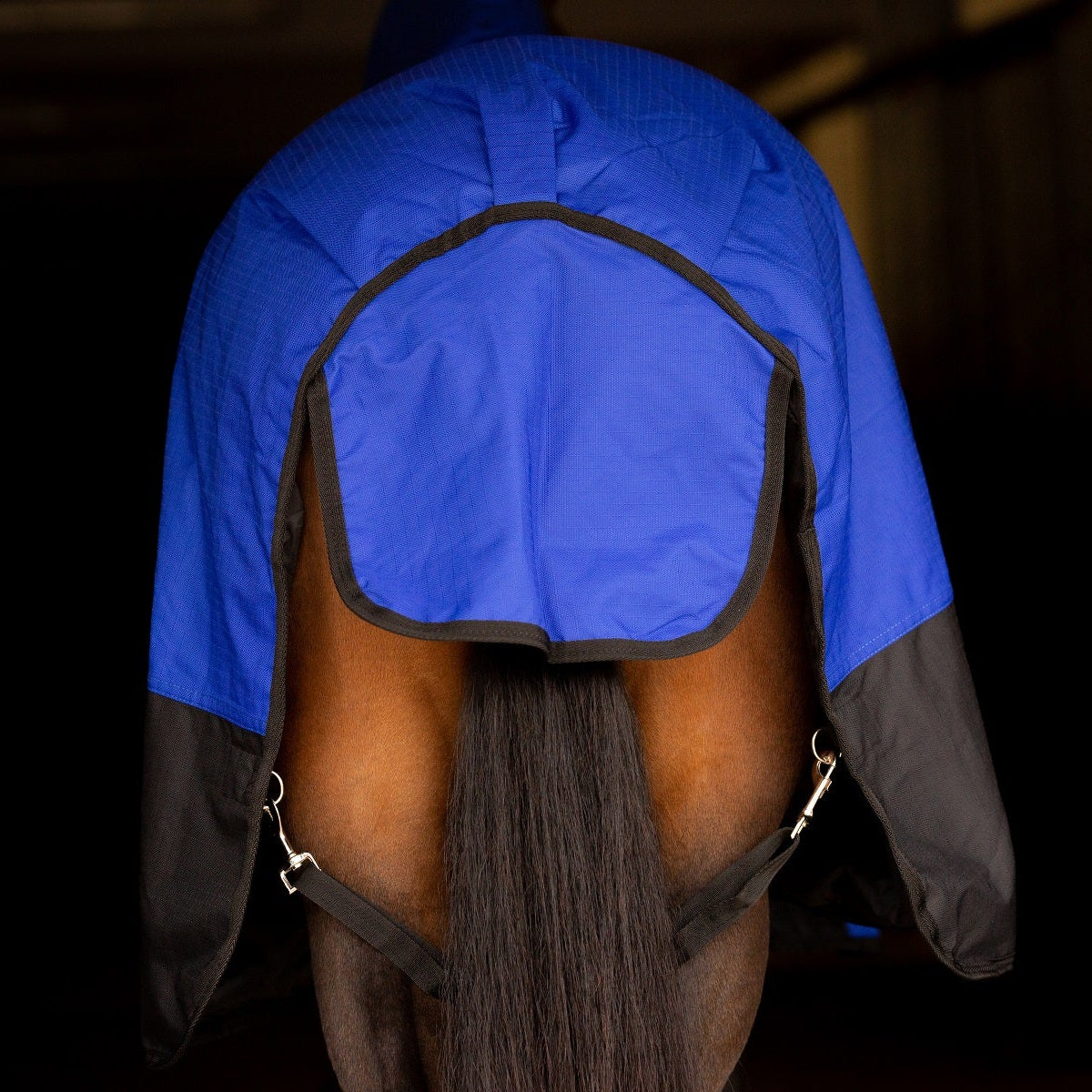 NZ Tack Duke 1200D Standard Neck FREE SHIPPING - Tail
