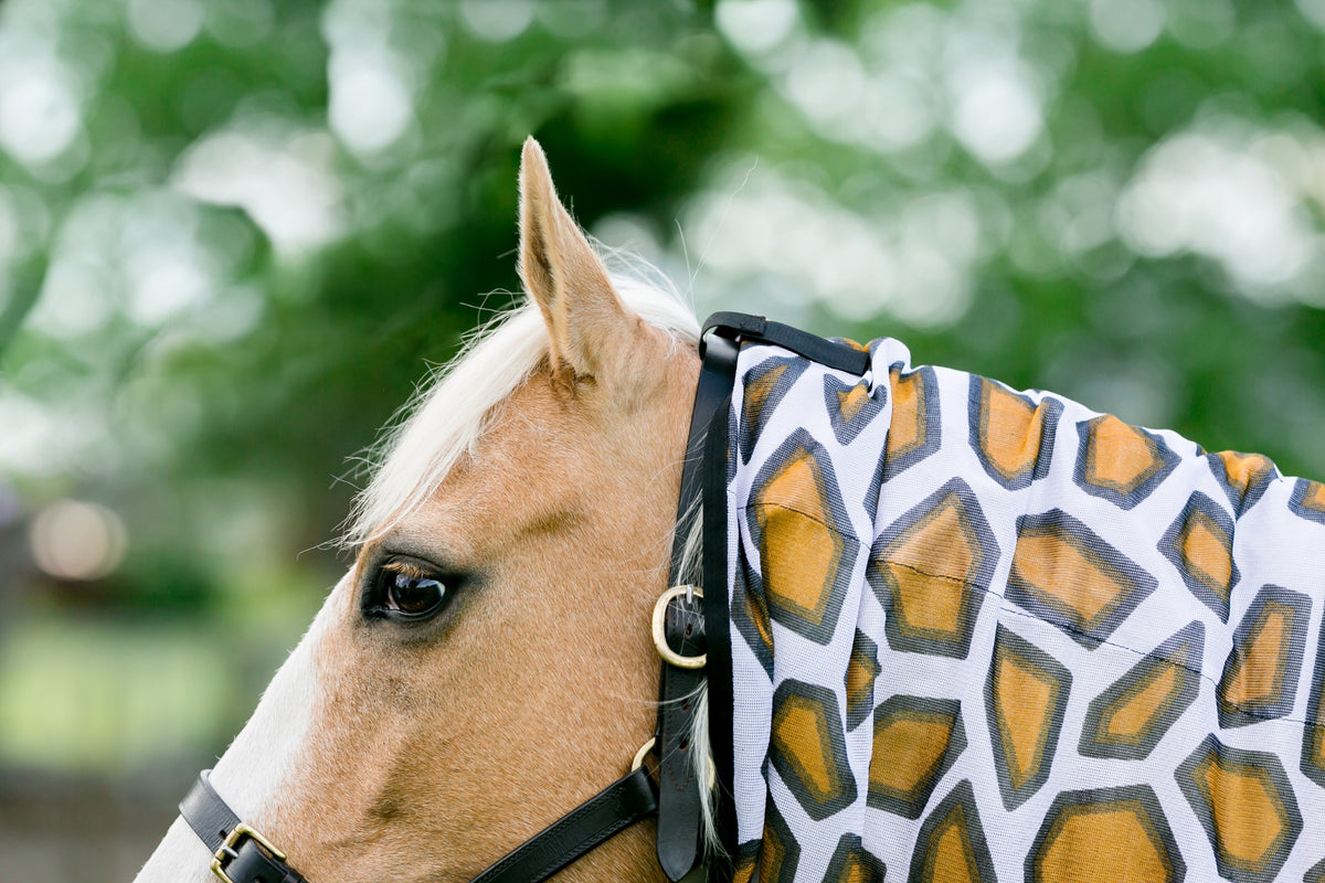 NZ Tack Giraffe Mesh Fly Combo - Halter Attachment