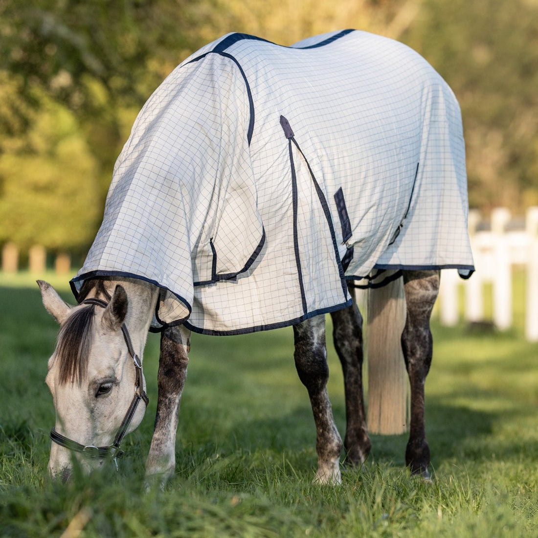 NZ Tack Summer Cotton Cooler Combo - 2