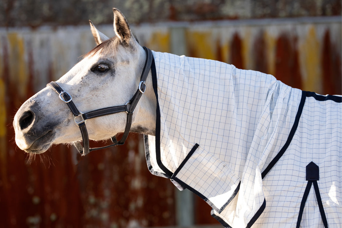 NZ Tack Summer Cotton Cooler Combo - Neck