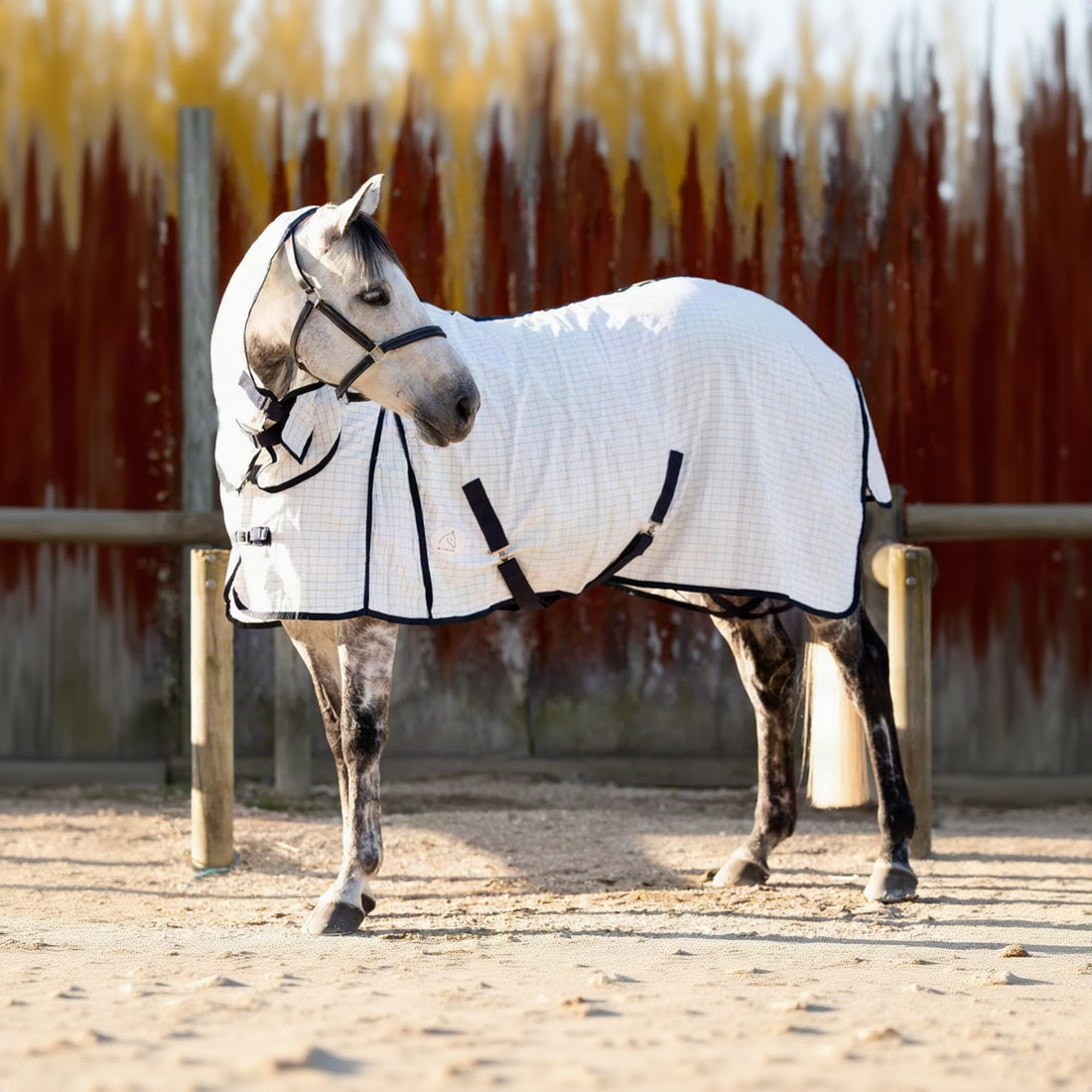 NZ Tack Summer Cotton Cooler Combo