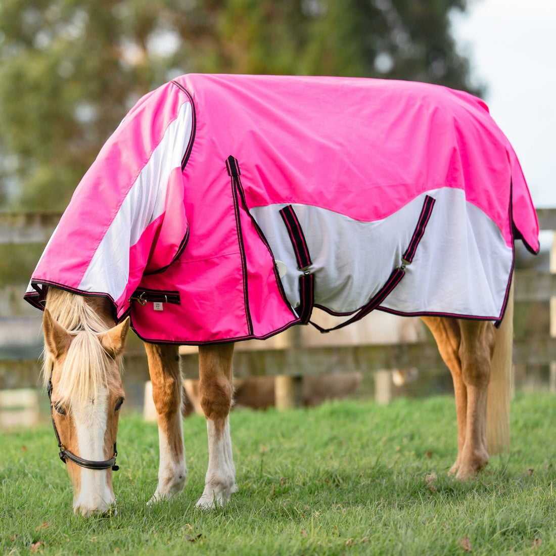 NZ Tack WaterProof Mesh CrossOver Combo Pink - Grazing