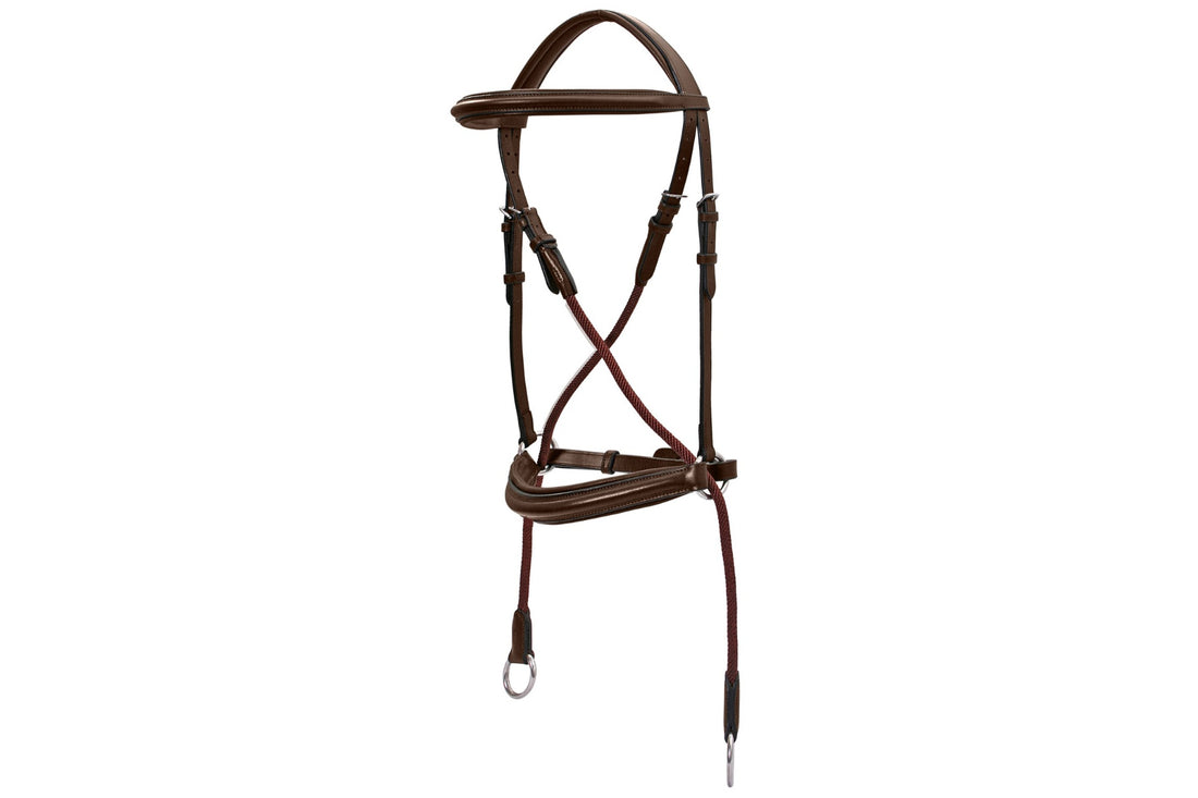 Platinum Bitless Bridle