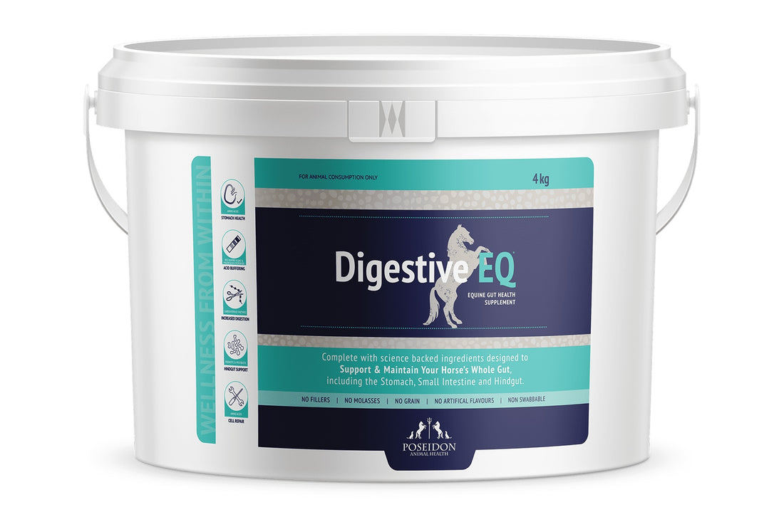 Poseidon Digestive EQ - 4kg