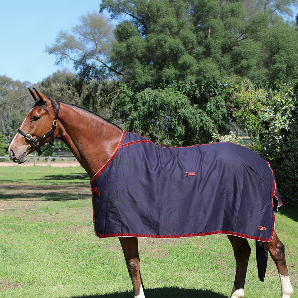 Zilco Show Circuit Cotton Rug